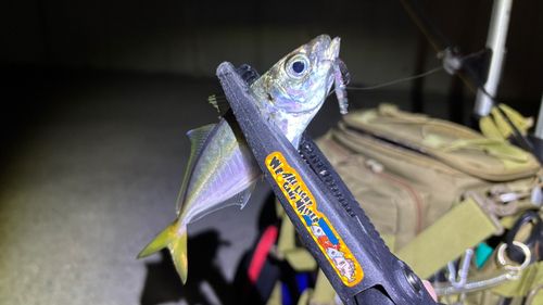 南芦屋浜ベランダ