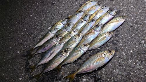 小名浜港市場前