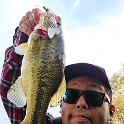 ラージマウスバス