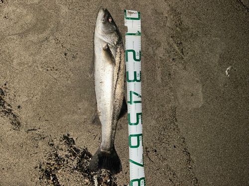 網代浜海水浴場