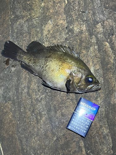 三陸海岸（宮城）