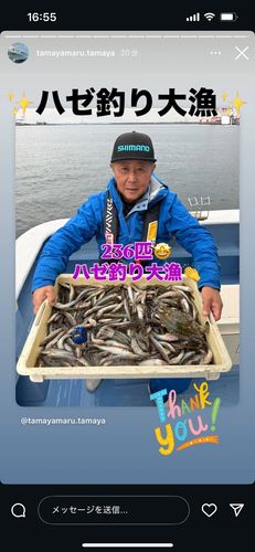 ハゼの釣果