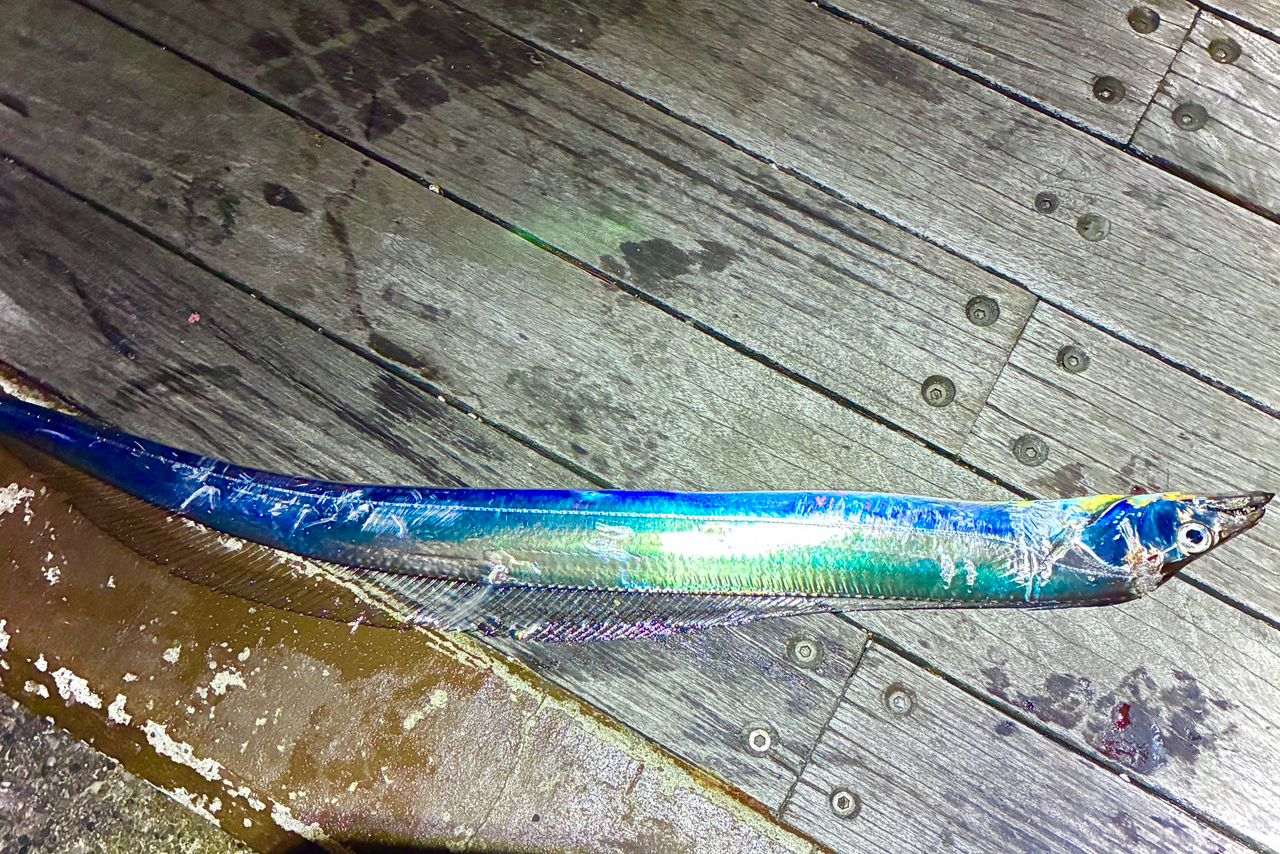 SHIMANO 22ソアレ SS アジング S54SUL-Sの最安値・インプレ・釣果