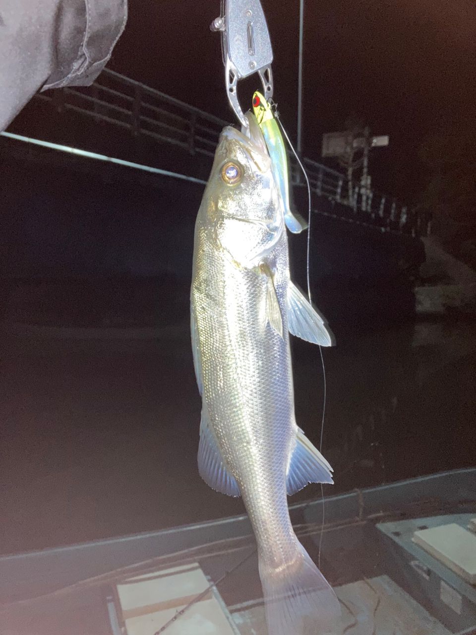 tailwalk アウトバック NC695MHの最安値・インプレ・釣果 | 本音の