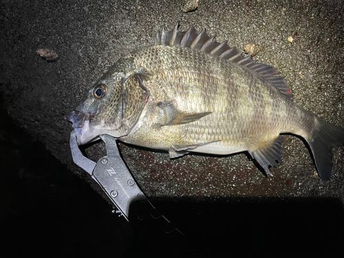 ディズニーリゾート付近