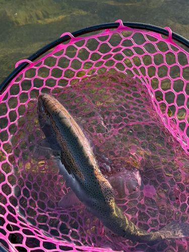 東山湖フィッシングエリア