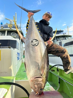 キハダマグロの釣果