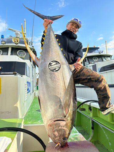 キハダマグロの釣果