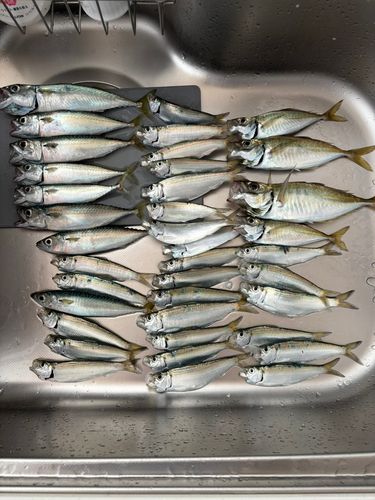 小名浜港市場前