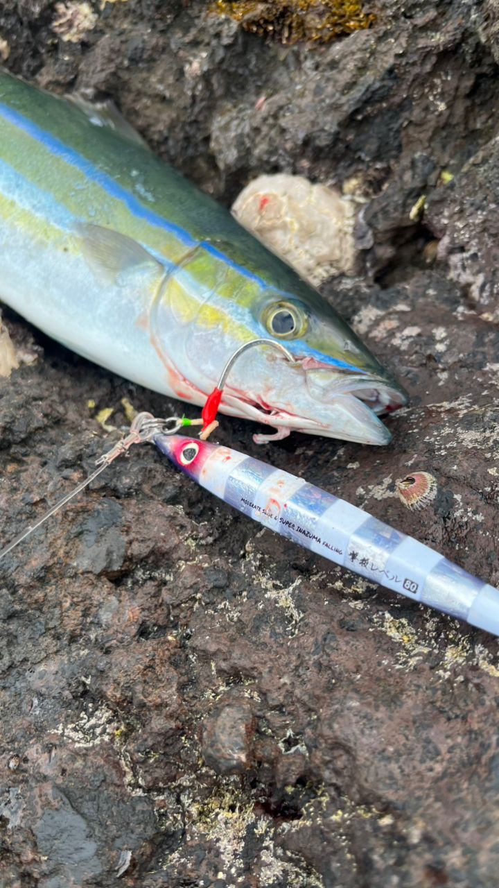 ゼナック　ミュートスアキュラ100ＨＨ　RGモデル ZENAQ ミュートス アキュラ スピニングモデル 100HH(RG)の最安値