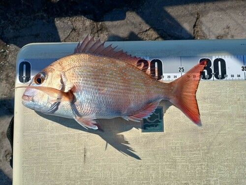 アジュール舞子