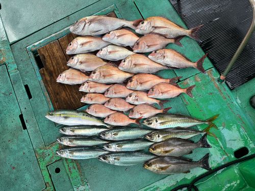 地島（和歌山）