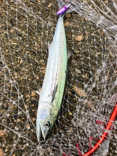 大浜地区ふれあい広場