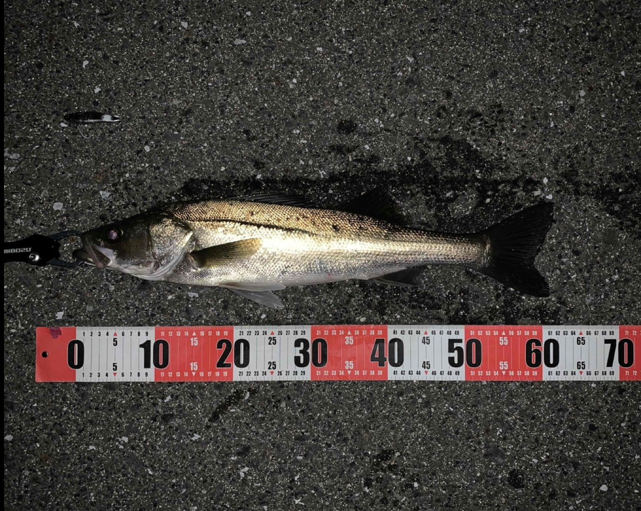 18ディアルーナ S100ML シマノ ディアルーナ S100ML (ロッド・釣竿) 価格比較 - 価格.com