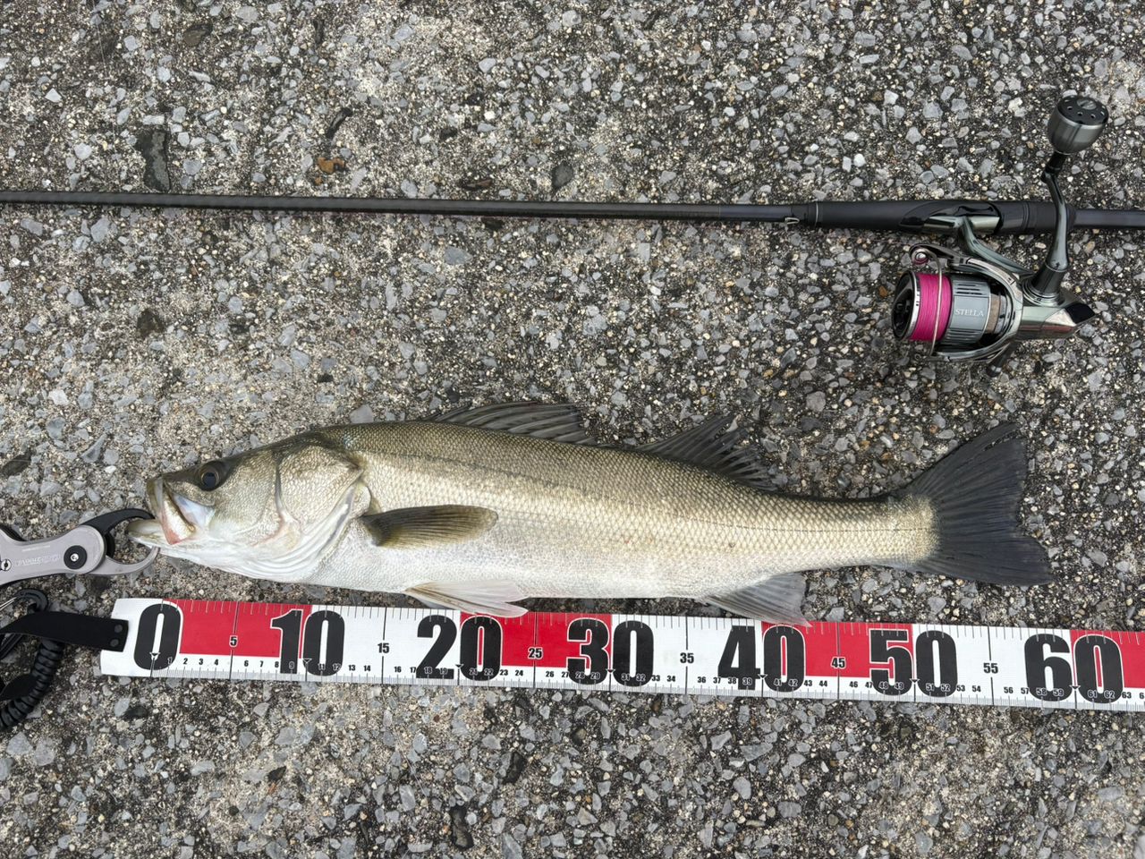 SHIMANO 22エクスセンス ∞ (インフィニティ) S96MLの最安値・インプレ