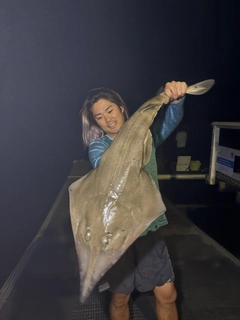 サカタザメの釣果