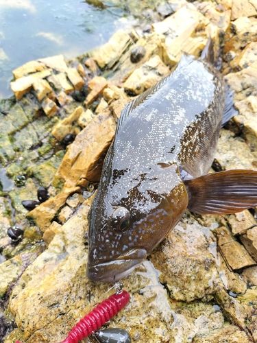 三陸海岸(青森)
