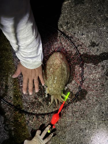 アジュール舞子