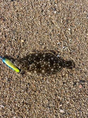 新舞子海岸(いわき)