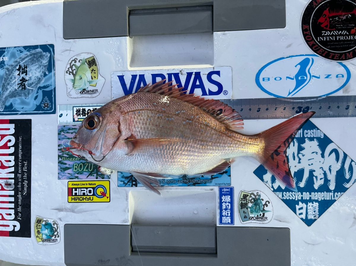 BOZUさんの釣果 2枚目の画像