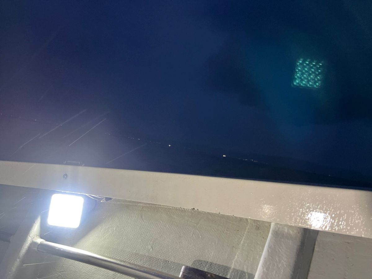 BOZUさんの釣果 3枚目の画像