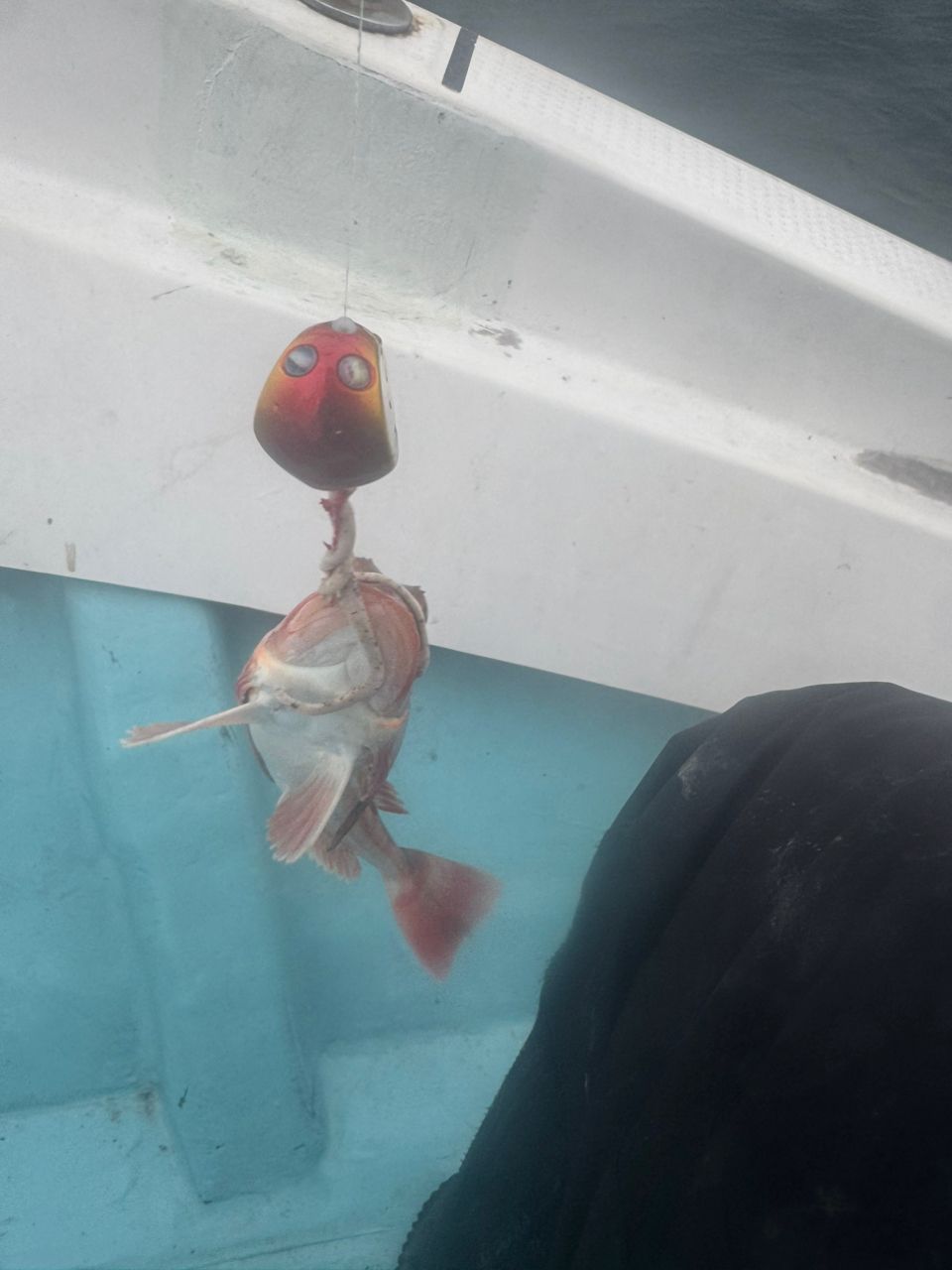 E-OSさんの釣果 2枚目の画像