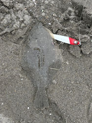 辻堂海浜公園前