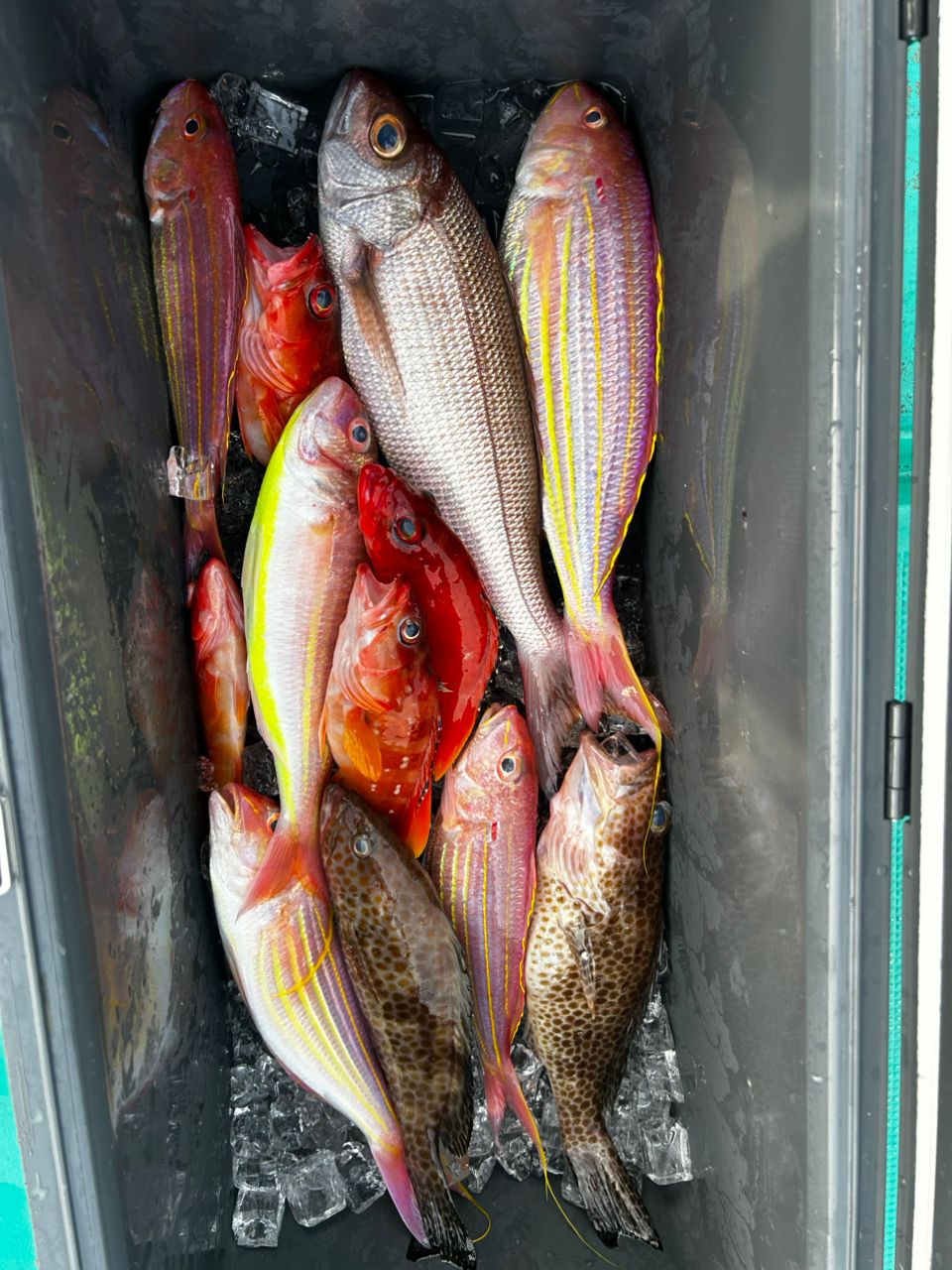 愛晃丸フィッシングさんの釣果 2枚目の画像