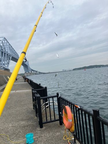 東京ゲートブリッジ付近