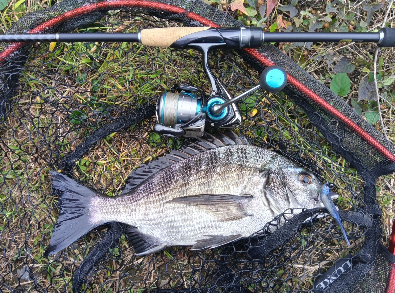 SHIMANO 19ブレニアス S78Lの最安値・インプレ・釣果 | 本音の口コミが SHIMANO 19ブレニアス S78Lの最安値・インプレ・釣果 | 本音の口コミが