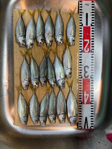 新舞子マリンパーク