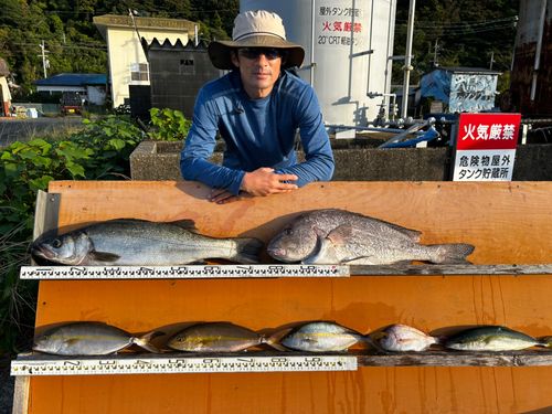 シオの釣果