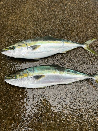 塩屋海岸(石川)