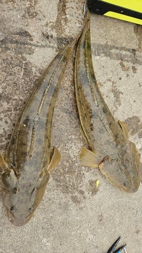 秋田火力発電所前