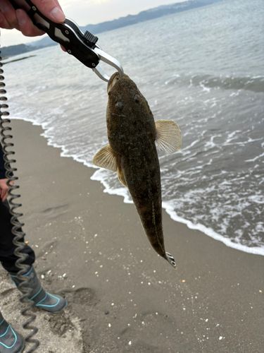 新舞子海岸(富津)