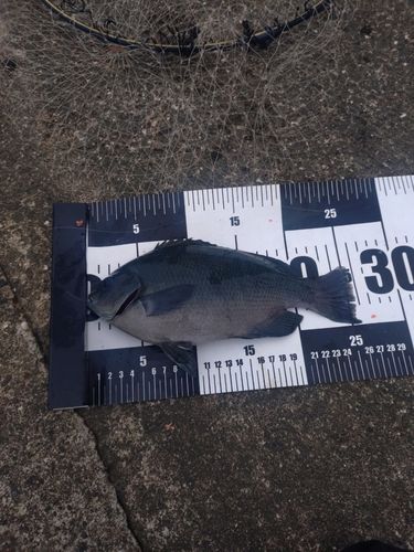 日和山浜海水浴場