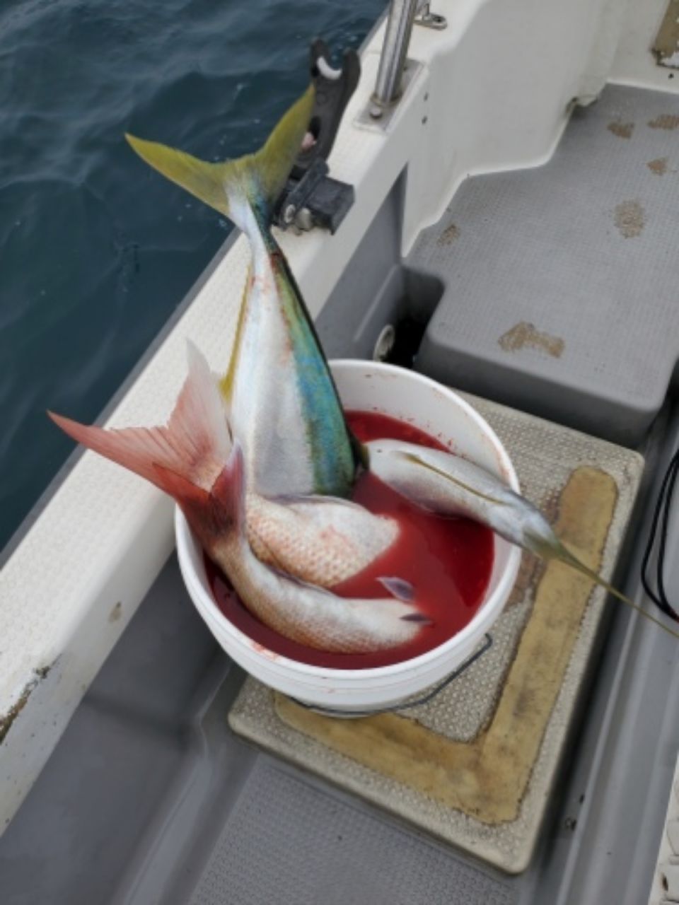 真鯛ハンタ～山ちゃんさんの釣果 3枚目の画像