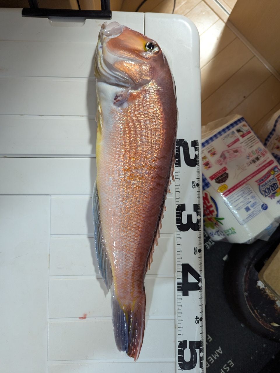 真鯛ハンタ～山ちゃんさんの釣果 2枚目の画像