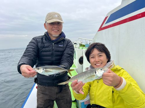 マアジの釣果