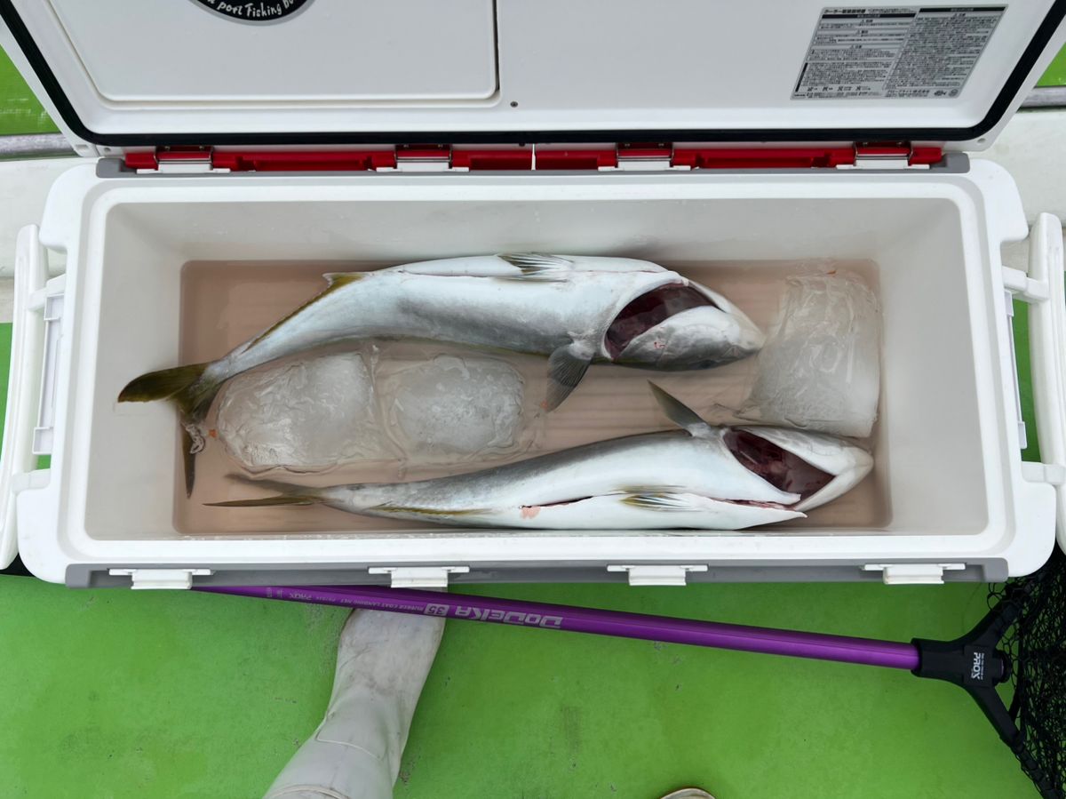 政信丸さんの釣果 3枚目の画像