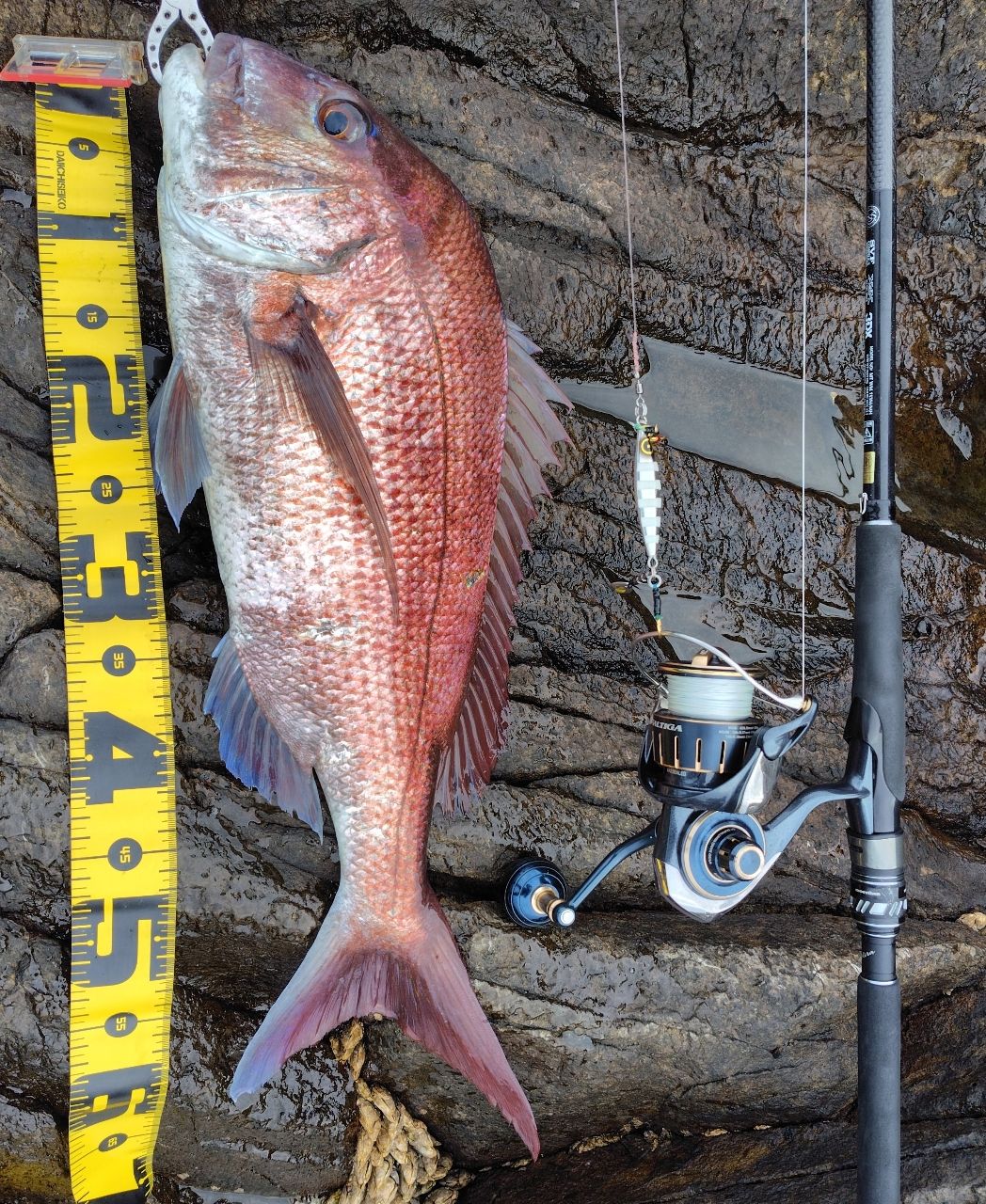 DAIWA 17モアザン ワイズメン 113M/MHの最安値・インプレ・釣果