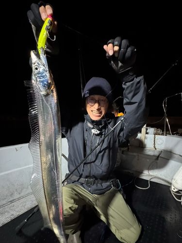 タチウオの釣果