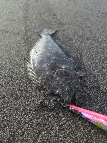 辻堂海浜公園前