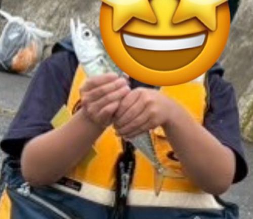 苫小牧東港一本防波堤