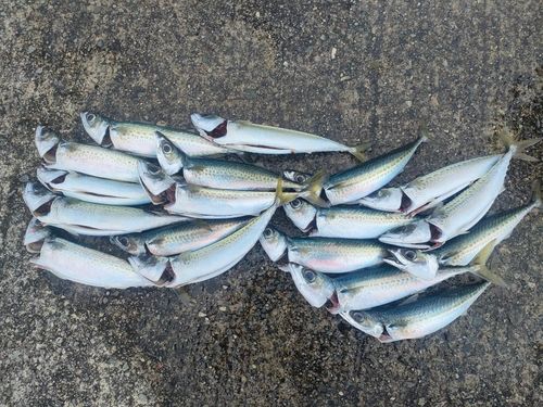 熱海港海釣り施設