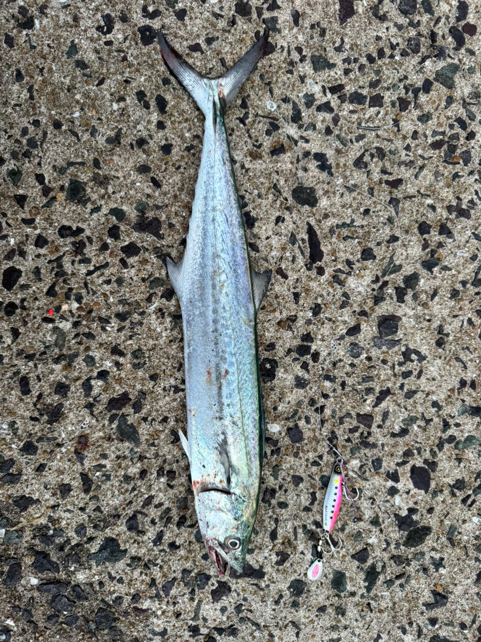 MajorCraft ファーストキャスト ショアジギング FCS-1002MHの最安値