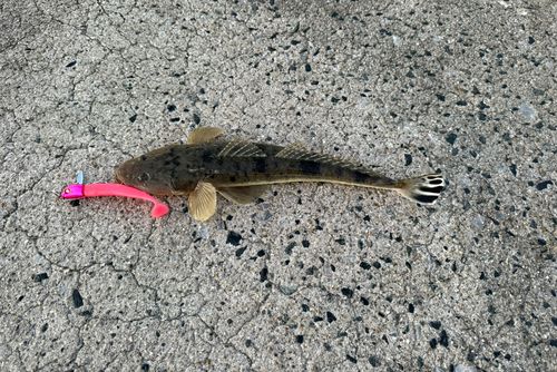 新舞子マリンパーク