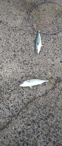 福間漁港海浜公園