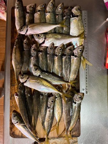 本牧海づり施設