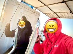 タチウオの釣果